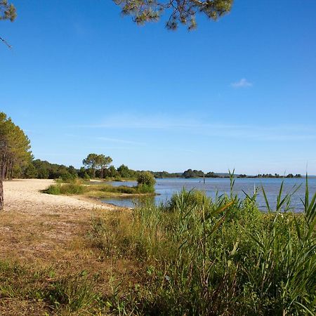 Studio Mansarde Climatise Les Roseaux Bord De Lac Biscarrosse Eksteriør billede