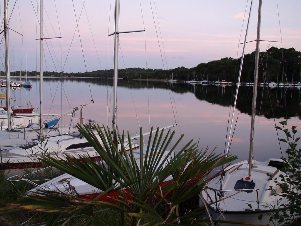 Studio Mansarde Climatise Les Roseaux Bord De Lac Biscarrosse Eksteriør billede
