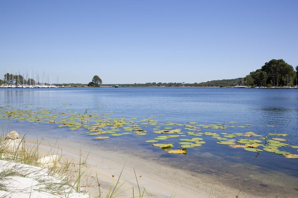 Studio Mansarde Climatise Les Roseaux Bord De Lac Biscarrosse Eksteriør billede