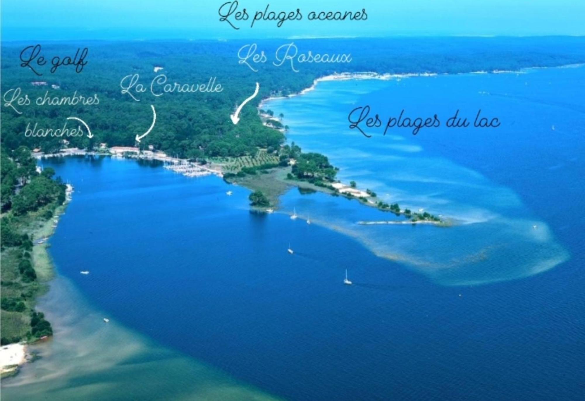 Studio Mansarde Climatise Les Roseaux Bord De Lac Biscarrosse Eksteriør billede