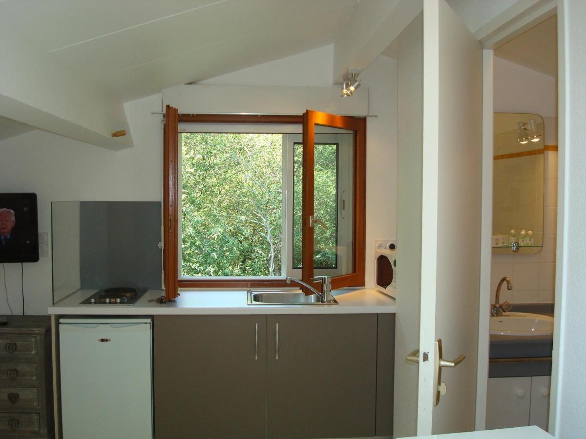 Studio Mansarde Climatise Les Roseaux Bord De Lac Biscarrosse Eksteriør billede